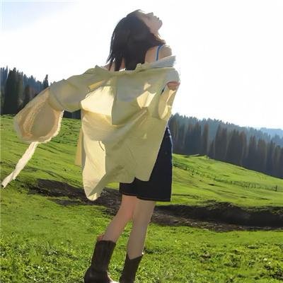 斑马人2：斑马城的逆袭